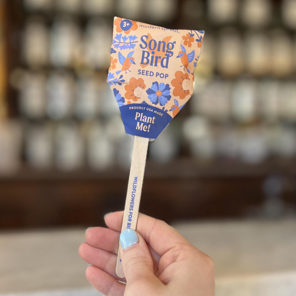 Modern Sprout - Pollinator Seed Pops